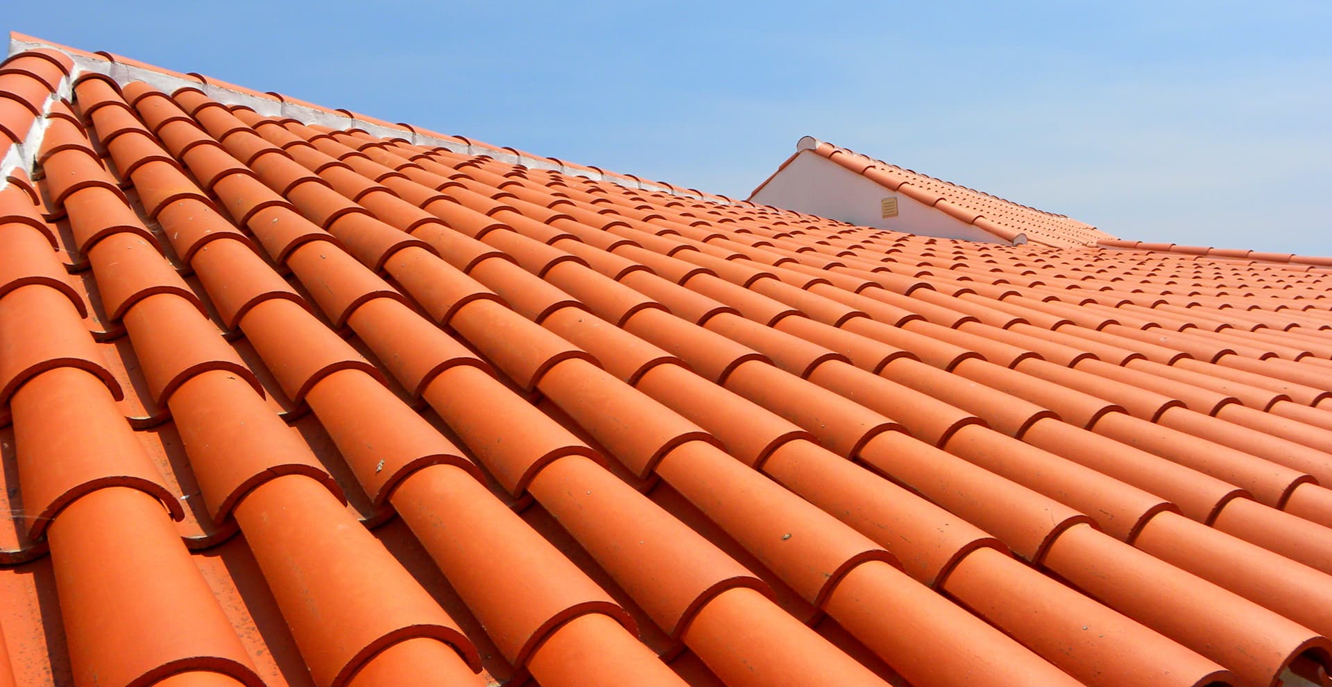 imagen del profesional