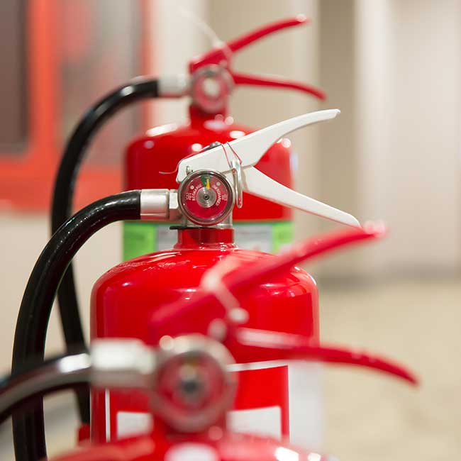 imagen del profesional