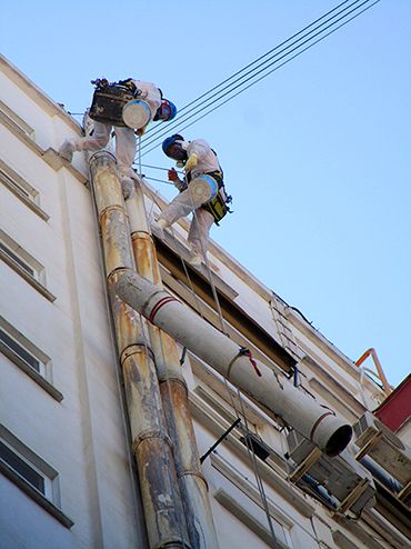 imagen del profesional