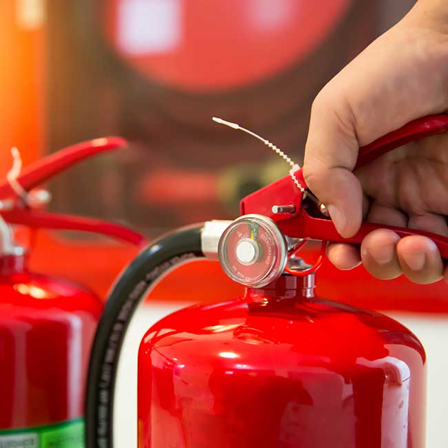 imagen del profesional