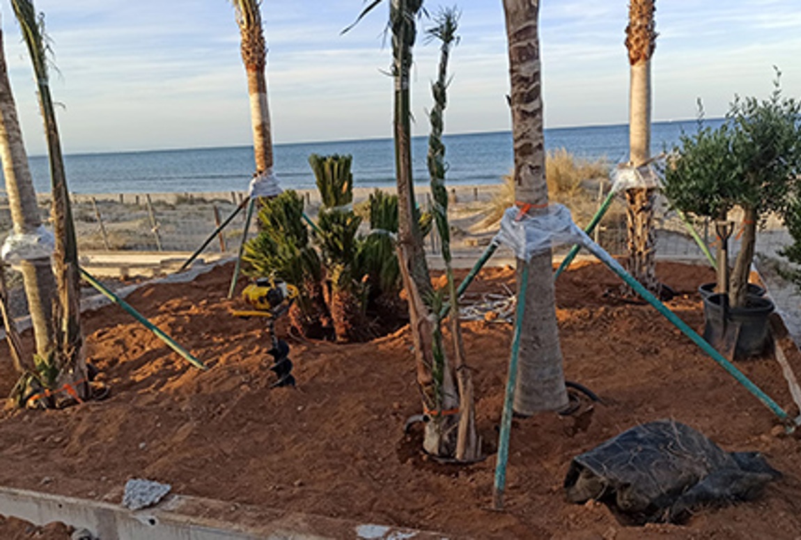 imagen del profesional